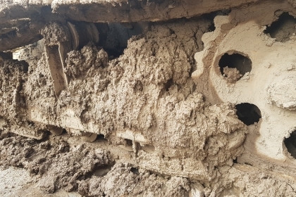 ขาย!! >>> รถแทรกเตอร์ Mitsubishi BD2F ใบมีดสไลด์ <<< เบอร์ติดต่อ 098-7155789 086-4631102 ขาย!! >>> รถแทรกเตอร์ Mitsubishi BD2F ใบมีดสไลด์ <<< เบอร์ติดต่อ 098-7155789 086-4631102