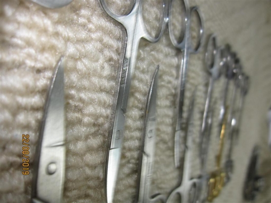 กรรไกรเล็ก Stainless คละแบบ สภาพยังดี (ชุดที่ 1)