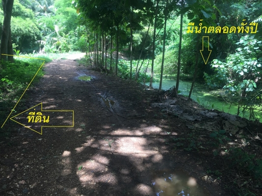 ขายที่สวนติดลำธาร ใกล้ภูเขา อุทยานฯและถนนถึง มีโฉนดเนื้อที่1ไร่2งาน70ตรว. ต.นาป่า อ.เมือง จังหวัดเพชรบูรณ์ขาย790,000บาท