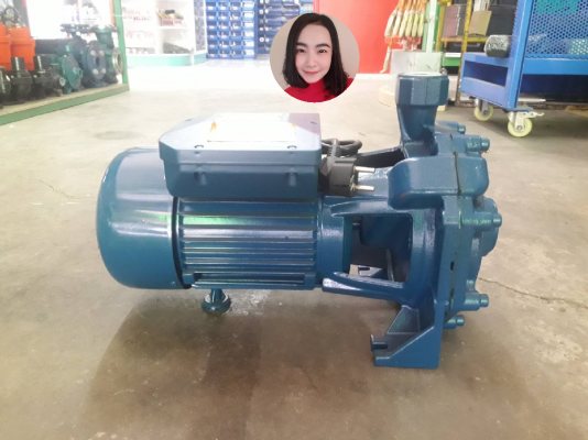 ปั๊มน้ำดูดส่ง ปั๊มน้ำหน้าหอยโข่ง แรงดันสูง ขนาดกำลัง 2 แรงม้า 2ใบพัด