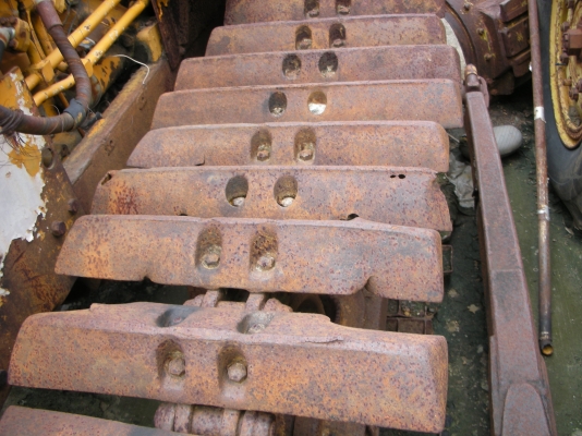 แผ่นแทรกดี30พี