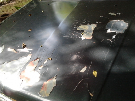 ขาย กระบะแค็ป MISU L200 AEROBODY ปี37/94 เครื่อง2.5 84HP แรงๆ ไม่หลวม พ.พาวเวอร์ แอร์เย็น ภายในดี คอนโซลครบ ช่วงล่างปึ๊ก คัสซีสวยไม่ผุไม่ดาม พื้นปูกระบะ สีมีแตก พร้อมใช้พร้อมลุยงาน ราคาต่อรองได้ครับ