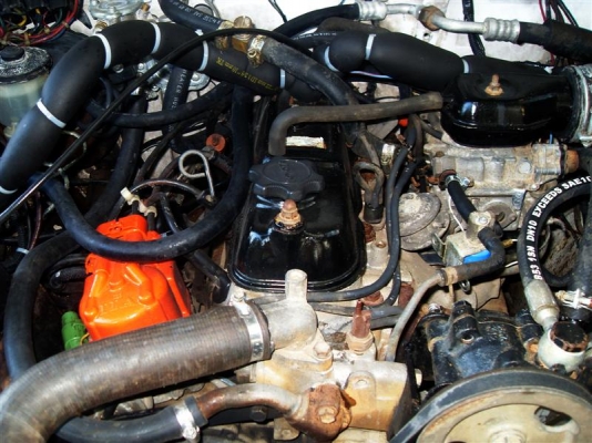 ขาย คาริเบี้ยนตู้ปลา ปี92 ขาย คาริเบี้ยนตู้ปลา ปี92