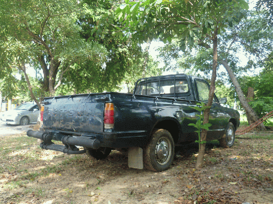 620ช้าง4ขอ 620ช้าง4ขอ