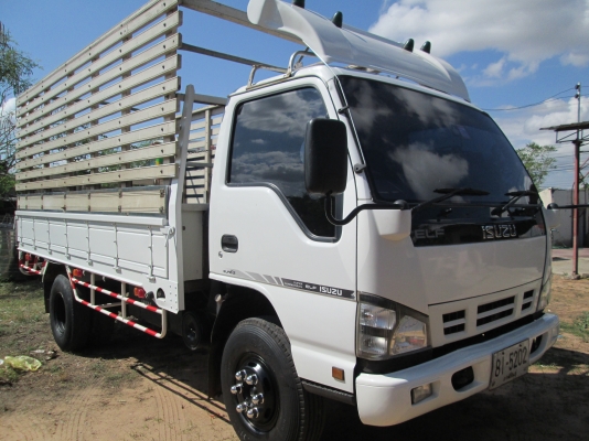 ขายรถบ้านสภาพป้ายแดง ISUZU NQR 175 คอมมอนเรล พร้อมใช้ยาว 4.30 ม.