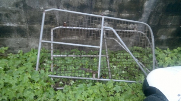 หลังคาปิเนียม สี่ล้อไม่ติดเวลา