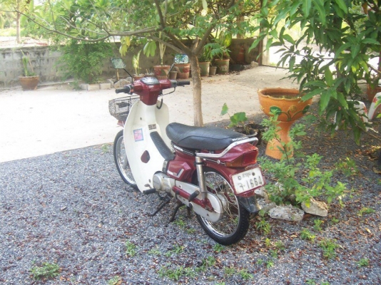 ดรีมคุรุสภาสีแดง ทะเบียนครบ+เอกสารพร้อมโอน รถเดิมๆ สวยๆ