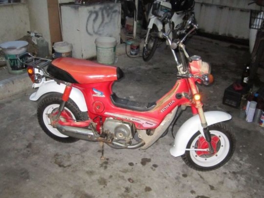 ด่วน! Honda Chaly 50cc.ไฟบนแท้สวยเดิมบางๆไม่เคยทำสี แท้รง.เกือบ100\% วิ่งดีพร้อมใช้ ช้าอด กทม.