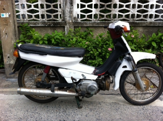 ขาย Mate นางพญา พร้อมเล่มทะเบียน ชุดโอนครบ