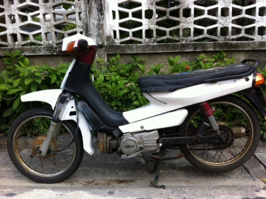 ขาย Mate นางพญา พร้อมเล่มทะเบียน ชุดโอนครบ