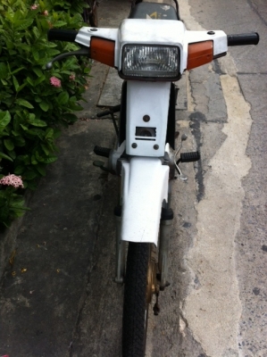 ขาย Mate นางพญา พร้อมเล่มทะเบียน ชุดโอนครบ