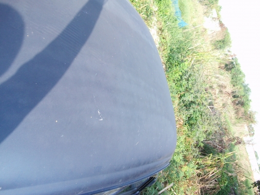 ขายโปรเจ็คกระดอกเต่า 68 เอาไปทำ Hot Rot ของครบๆๆครับ ขายโปรเจ็คกระดอกเต่า 68 เอาไปทำ Hot Rot ของครบๆๆครับ