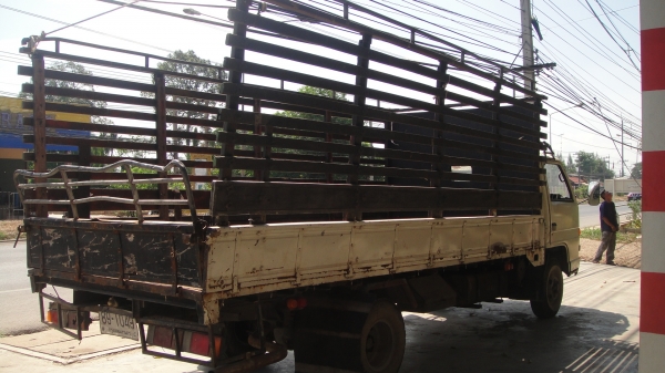 ISUZU NPR ยาว5เมตร เครื่องดี คัสฃีสวย รถเดิมๆ ราคาถูก