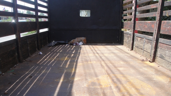 ISUZU NPR ยาว5เมตร เครื่องดี คัสฃีสวย รถเดิมๆ ราคาถูก