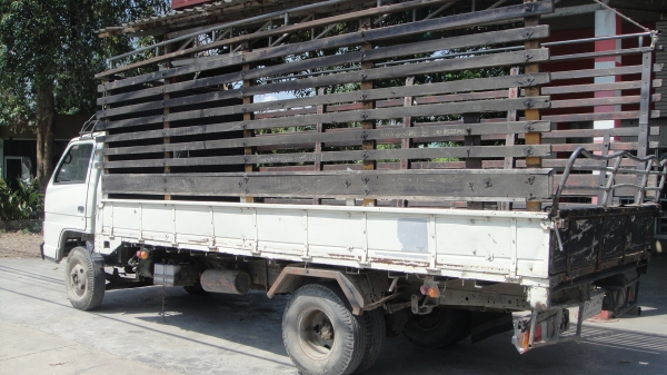 ISUZU NPR ยาว5เมตร เครื่องดี คัสฃีสวย รถเดิมๆ ราคาถูก