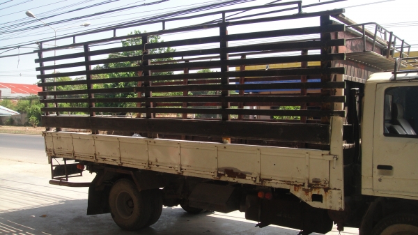 ISUZU NPR ยาว5เมตร เครื่องดี คัสฃีสวย รถเดิมๆ ราคาถูก