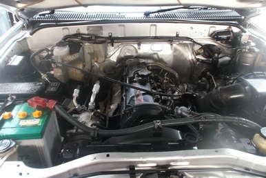 ขายด่วนไทเกอร์2001 ขาย195000บ ขายด่วนไทเกอร์2001 ขาย195000บ