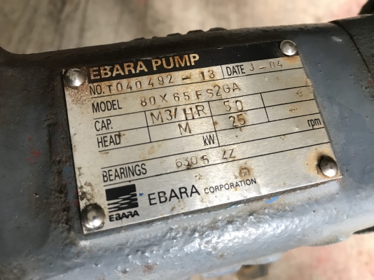 ขายหัวปั๊มน้ำหอยโข่ง Ebara 80x65FSG ขนาดเข้า 3นิ้ว ออก 2.5นิ้ว ใบพัดทองเหลือง สภาพสวย หมุนนิ่ม พร้อมใช้งาน