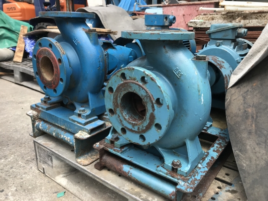 ขายปั๊มน้ำหอยโข่ง Calpeada made in Italy ขนาดเข้า 3นิ้ว ออก 2.5นิ้ว ใบพัดเหล็กหล่อ พร้อมมอเตอร์  10HP. 2800rpm. 380V สภาพสวย หมุนนิ่ม(ไม่มียางยอย) พร้อมใช้งาน มี 2ชุด ราคาชุดละ 13,000 บาท