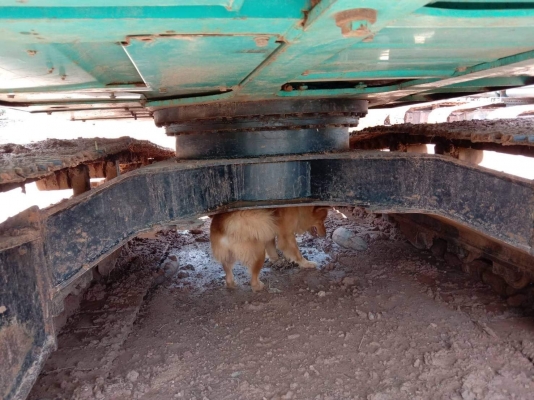 ขายรถขุดแบ็คโคSK140-8โกเบลโก้ซุปเปอร์X ทำงาน8พัน ชม. เอกสารใบอินวอยซ์ สภาพเดิมบูมสวยปั๊มเดิม พร้อมลงงาน ขายรถขุดแบ็คโคSK140-8โกเบลโก้ซุปเปอร์X ทำงาน8พัน ชม. เอกสารใบอินวอยซ์ สภาพเดิมบูมสวยปั๊มเดิม พร้อมลงงาน