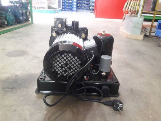 ปั๊มน้ำดูดน้ำบาดาล ปั๊มน้ำดูดน้ำบาดาลแจ๊คคู่มอเตอร์ทองแดงแท้