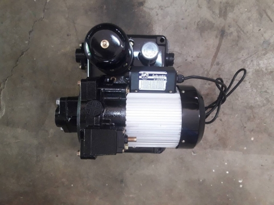 ปั๊มน้ำดูดน้ำบาดาล ปั๊มน้ำดูดน้ำบาดาลแจ๊คคู่มอเตอร์ทองแดงแท้