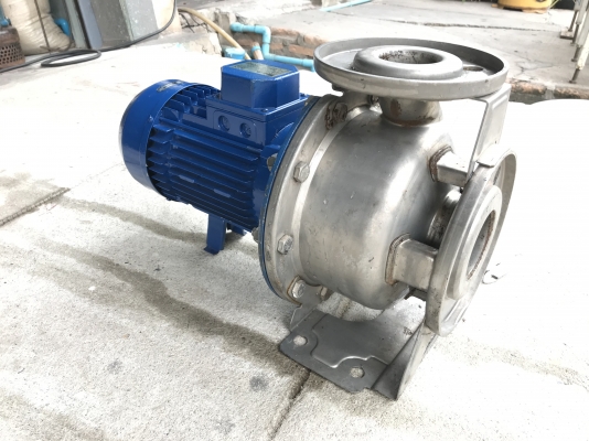 ขายปั๊มน้ำหอยโข่งหัวปั๊มสแตนเลส Ebara 3HP. 380V made in Italy ขนาดเข้า 2.5นิ้ว ออก 2นิ้ว สภาพสวยเดิมๆ หมุนนิ่ม พร้อมใช้งาน ราคา 8,500 บาท