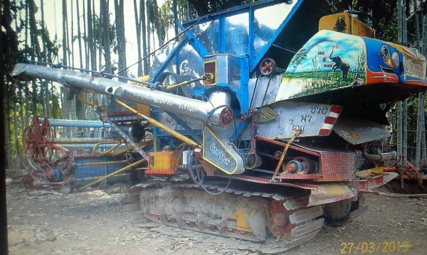 ขาย400000บาท จ้าวช้าง เกษตรพัฒนา