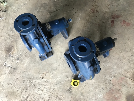 ขายปั๊มน้ำหอยโข่ง Goulds Pump made in USA. ใบพัดทองเหลือง ขนาดเข้า 2.5นิ้ว ออก 2นิ้ว รุ่นใบพัดใหญ่ส่งน้ำไกล ***ของใหม่ไม่เคยใช้งาน*** มี 2ตัว ราคาตัวละ 5,800 บาท