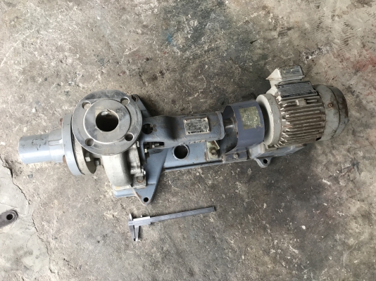 ขายชุดปั๊มน้ำหอยโข่งสแตนเลส Ebara 1HP. 220V 3สาย made in Japan ขนาดเข้า 2.5นิ้ว ออก 2นิ้ว ใบพัด+หัวปั๊มสแตนเลส สภาพสวยใหม่มาก พร้อมใช้งาน ราคา 7,800 บาท