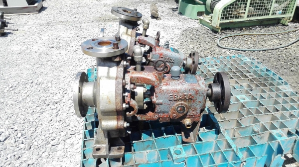 หัวปั้มน้ำหอยโข่งสเตนเลสญี่ปุ่น EBARA JAPAN แบบห้องแคบแรงดันสูง ท่อ 2- 1.5 นิ้ว หัวปั้มน้ำหอยโข่งสเตนเลสญี่ปุ่น EBARA JAPAN แบบห้องแคบแรงดันสูง ท่อ 2- 1.5 นิ้ว