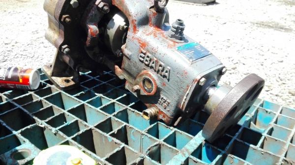 หัวปั้มน้ำหอยโข่งสเตนเลสญี่ปุ่น EBARA JAPAN แบบห้องแคบแรงดันสูง ท่อ 2- 1.5 นิ้ว หัวปั้มน้ำหอยโข่งสเตนเลสญี่ปุ่น EBARA JAPAN แบบห้องแคบแรงดันสูง ท่อ 2- 1.5 นิ้ว