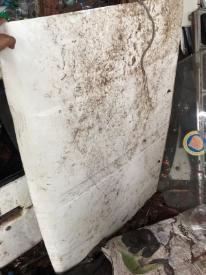 ขายฝากระโปรง นิสสันประตู แก้ม ตามภาพ แลอะฝุ่น 3500บาท 0816278866