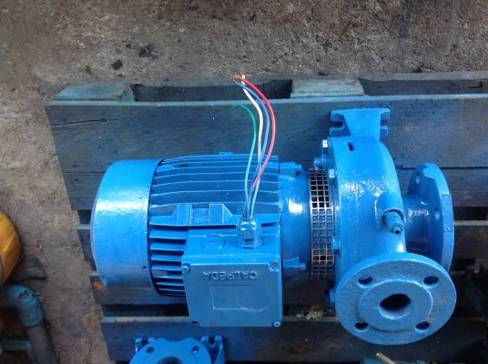 ขายปั้มหอยโข่ง คาลปีด้า 10 แรง 7.5 KW  2900 รอบต่อนาที