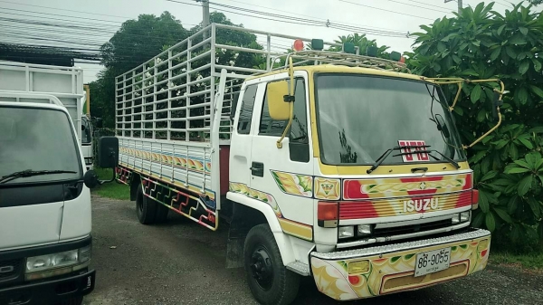 ขาย 6 ล้อ Isuzu ขาย 6 ล้อ Isuzu