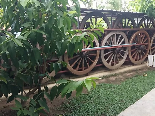 ขายล้อเกวียนเก่าเป็นไม้สักมีอยู่ 60 ล้อกว้าง1.30 เมตรขายล้อละ 2500 ขายล้อเกวียนเก่าเป็นไม้สักมีอยู่ 60 ล้อกว้าง1.30 เมตรขายล้อละ 2500