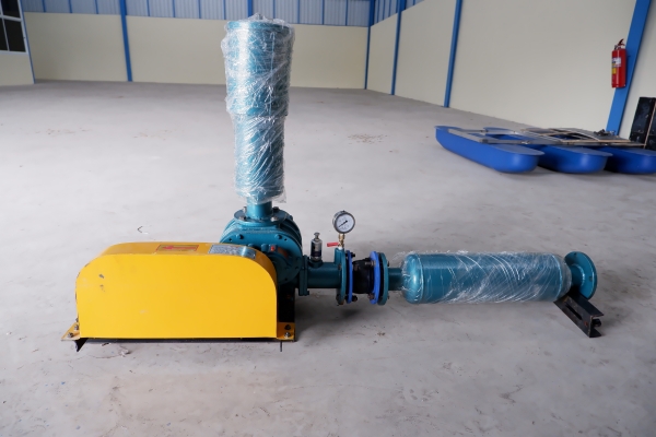 ด่วนรูทโบลเวอร์ 3"