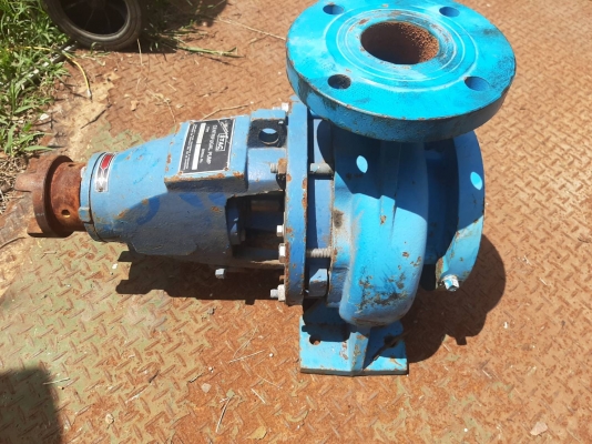 ปั้มน้ำใบทองเหลือง