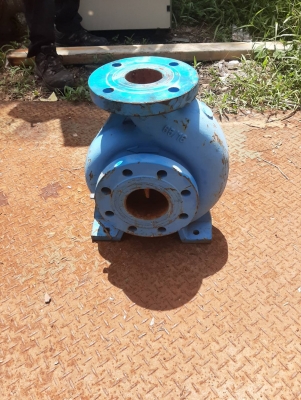 ปั้มน้ำใบทองเหลือง