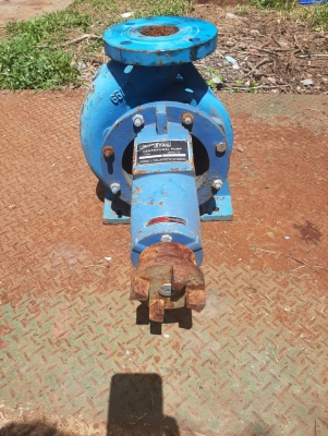 ปั้มน้ำใบทองเหลือง