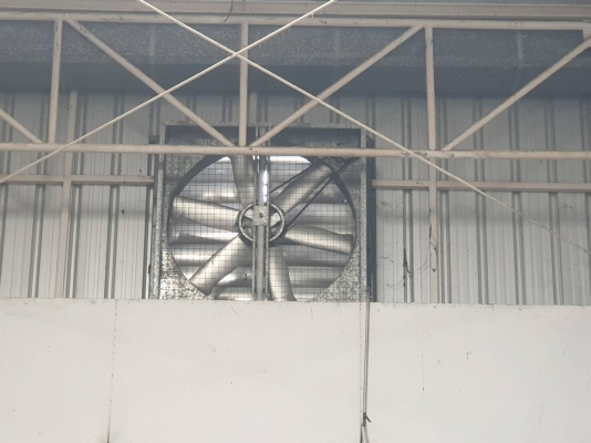 พัดลม 40 นิ้ว มี 9 ตัว ตัวละ 10,000 บาท