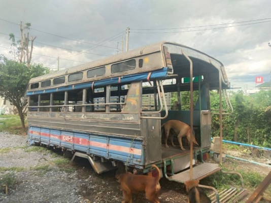 กระบะสองแถวยาว4.30ม.ตามสภาพ พร้อมติดตั้ง  สนใจติดต่อ - สอบถามหรือดูสินค้าเพิ่มเติมได้ที่  โทร.086-9374587&amp; 096-6541449  หรือเพจ Facebook @sudjai89 นะคะ อ.เมือง จ.นครปฐม )