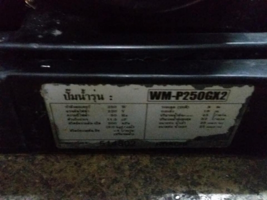 ปั๊ม HITACHI 250 W  GX 2