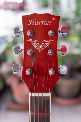 กีต้าร์โปร่ง Harrier 41 นิ้ว รุ่น 41NT สีไม้เงา สภาพดี มีกระเป๋า
