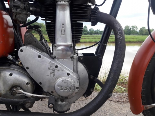 ขาย Bsa zb31 rigid frame 350 cc หลังแข็งรถเครื่องติดขี่ได้ ไฟ cdi ขาย Bsa zb31 rigid frame 350 cc หลังแข็งรถเครื่องติดขี่ได้ ไฟ cdi