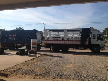 ขายรถบรรทุกพ่วง (22 ล้อ) ISUZU max load กระบะเหล็กไม่ดั๊มพ์ ลูก 3 คานแท้ จดปี 50 รถบ้านแท้ ทะเบียนพร้อม