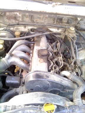 ขายกะบะดีเซลราคาถูกๆพร้อมใช้งานหนักๆ(ภาษีต่อแล้วหมด 57) ขายกะบะดีเซลราคาถูกๆพร้อมใช้งานหนักๆ(ภาษีต่อแล้วหมด 57)