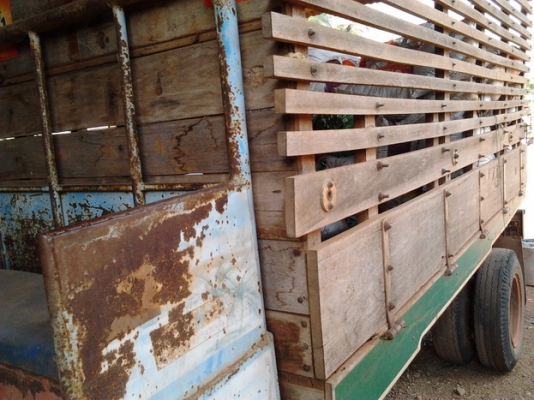 ขายแต๋น6ล้อ ใหญ่ๆ ราคาไม่แพง เครื่องKUBOTA ET110 ติดง่าย แห้งดี ช่วงล่างใหญ่ คัสซีหน้า4สวย วางหมอนไม้เสริมแข็งแรง เฟืองท้าย NKR110 ยางดี6เส้น แถมคานหน้า6ล้อให้ซื้อมายังไม่ได้ใส่ กระบะคอกไม้สูง พื้นไม้ ยาว 3.5ม. สวยแข็งแรง ไม่มีโยก ไม่ผุไม่หัก สโลว์พร้อมคร