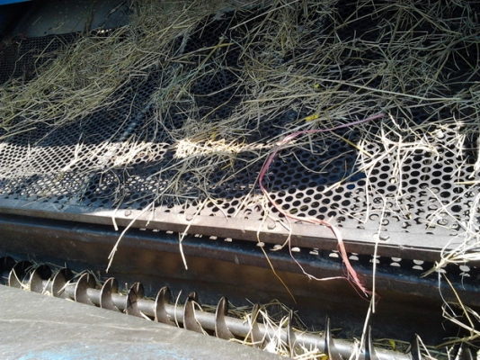 ขาย ตู้ นวด/สี ข้าว ขนาด 6 ฟุต สภาพสวย น.รวมช่าง อ.จตุรัส จ.ชัยภูมิ  สีสันยังสวย สายพานไม่มีขาด  พร้อมใช้งาน ราคาต่อรองได้ครับ