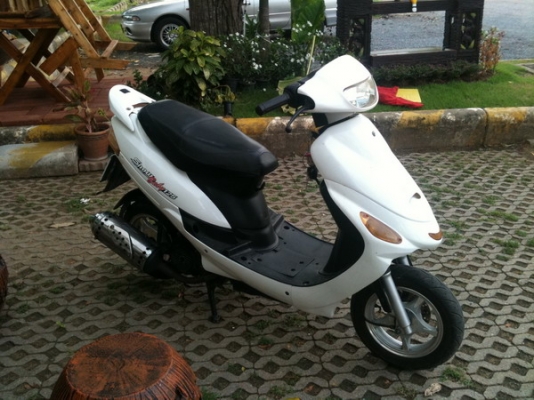 ขาย รถป๊อปมีทะเบียนน่ารัก